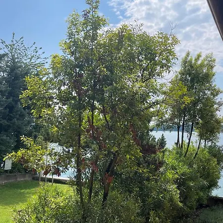 Lakeside Saló