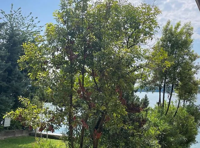 Lakefront Saló